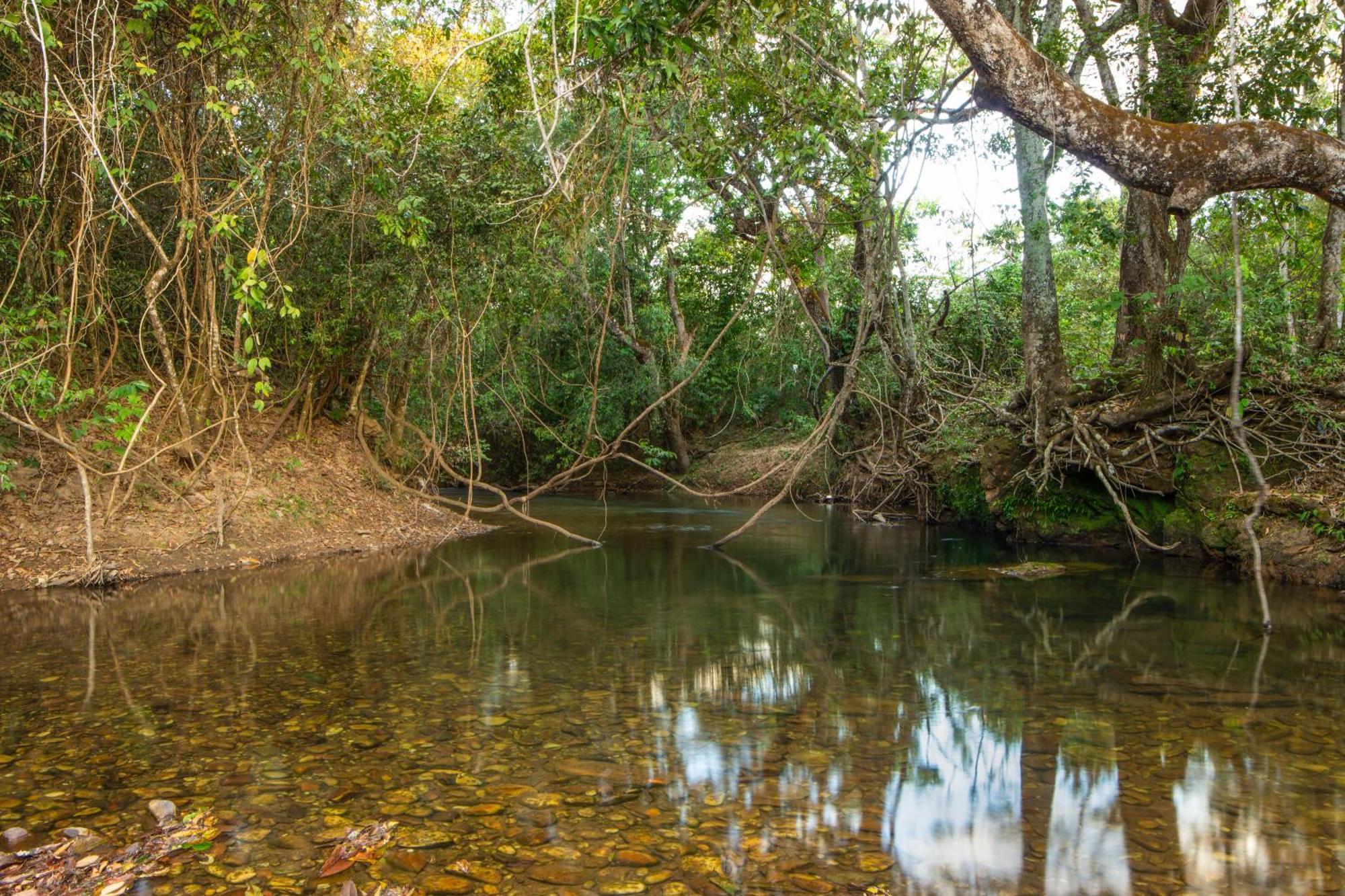 Camping Das Aguas Pirenópolis Zewnętrze zdjęcie